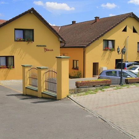 Pensiunea Blanca Reghin Exteriér fotografie